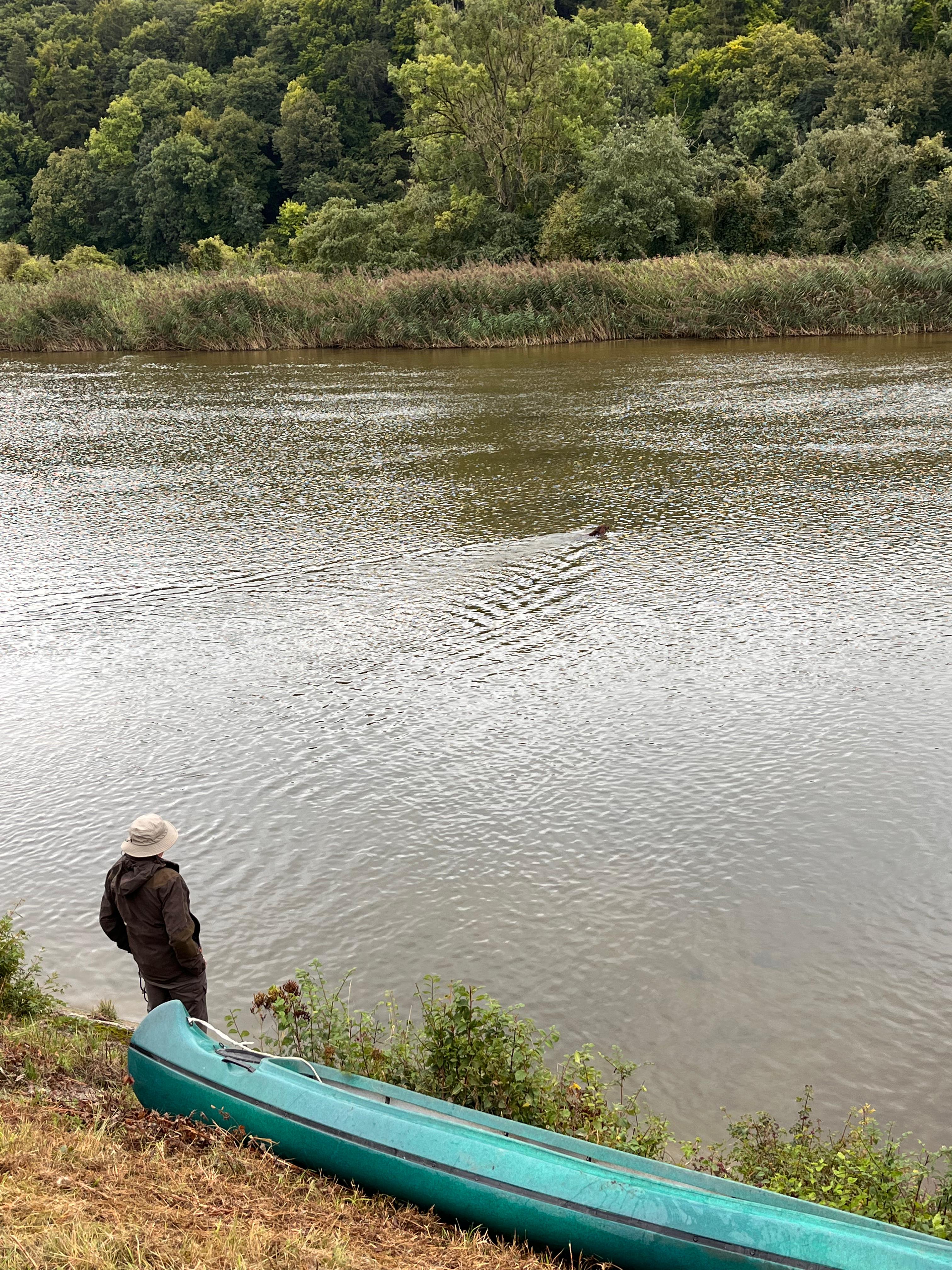 Qarla quert Donau 25. August 2024